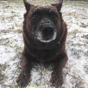 Meet your Posher, Todd